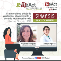 Interesante invitación primer segmento de &quot;Sinapsis&quot;, React Latinoamérica